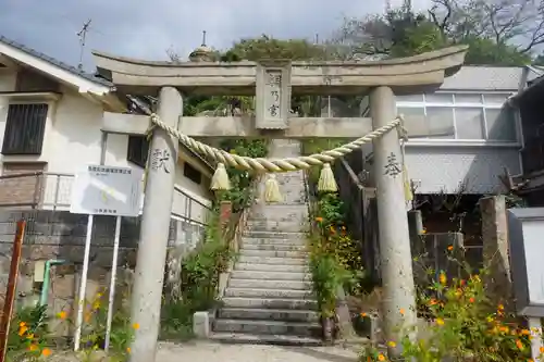 鯛乃宮神社の鳥居