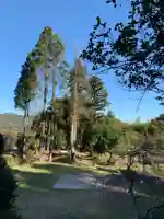 妙喜寺のその他建物