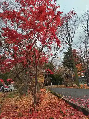 東神楽神社の自然
