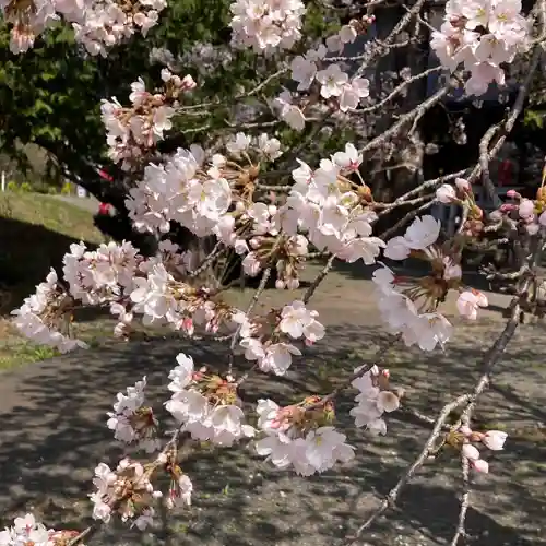 高司神社〜むすびの神の鎮まる社〜(福島県)