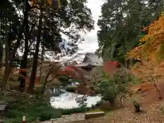 くろ谷 金戒光明寺(京都府)