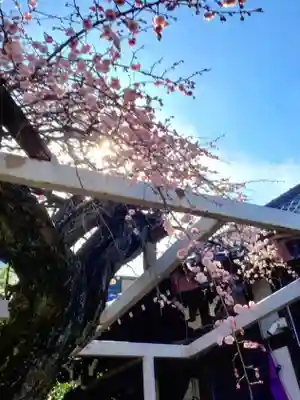 長善寺(東京都)