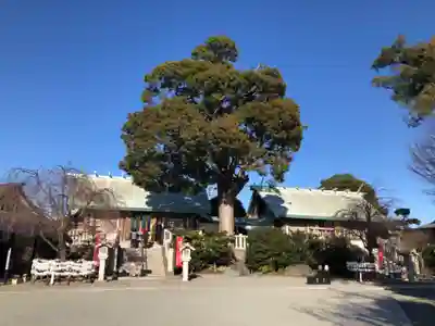伊勢原大神宮の本殿・本堂
