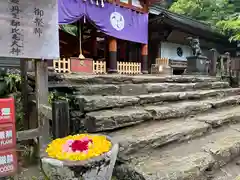 丹生都比売神社(和歌山県)