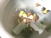 日吉八王子神社の動物