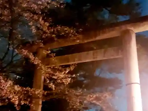 華蔵寺の{uncategorized: "未分類", other: "その他", undefined: "問題あり", building: "その他建物", grave: "お墓", sacred_gate: "鳥居", guardian: "狛犬", statue: "像", buddha: "仏像", history: "歴史", nature: "自然", garden: "庭園", animal: "動物", pagoda: "塔", temizu: "手水舎", mountain_gate: "山門・神門", sanctuary: "本殿・本堂", subordinate: "末社・摂社", art: "芸術", scenery: "景色", jizo: "地蔵", ema: "絵馬", goshuin: "御朱印", omikuji: "おみくじ", items: "授与品その他", amulet: "お守り", goshuincho: "御朱印帳", eats: "食事", festival: "お祭り", votive_dance: "神楽", shichigosan: "七五三参", wedding: "結婚式", experience: "体験その他", initially: "初詣", around: "周辺", anti_infection: "感染症対策"}