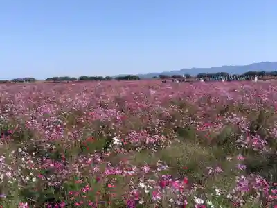 白山神社(福井県)
