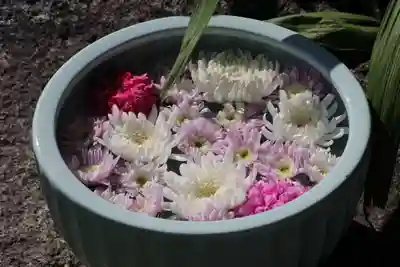 開成山大神宮の手水舎