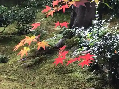 祇王寺(京都府)