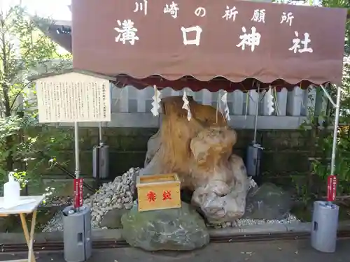 溝口神社のその他建物