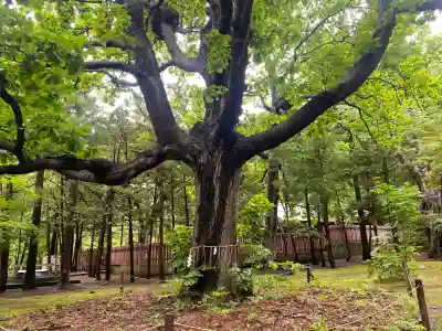 開拓神社(北海道)