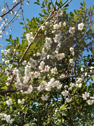 下溝八幡宮(神奈川県)