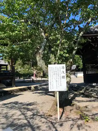 粉河寺(和歌山県)