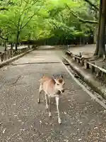 春日大社(奈良県)