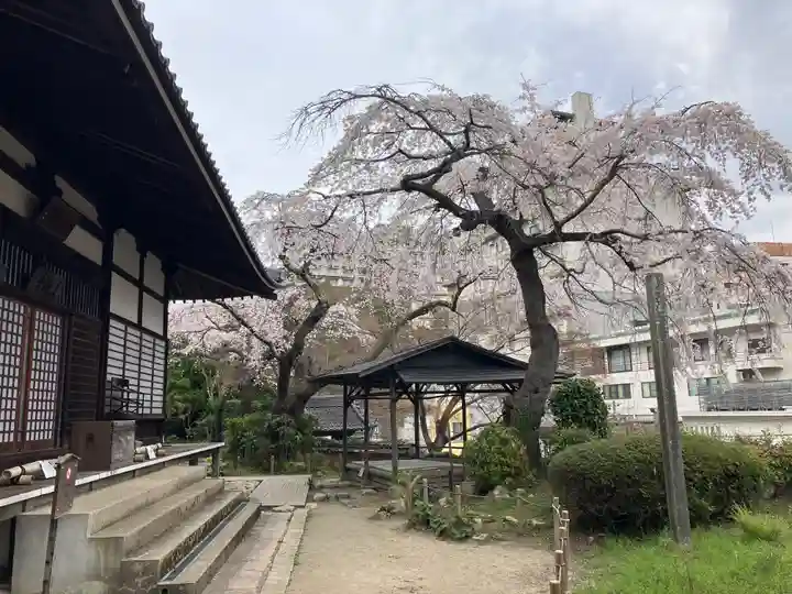 善福寺(兵庫県)