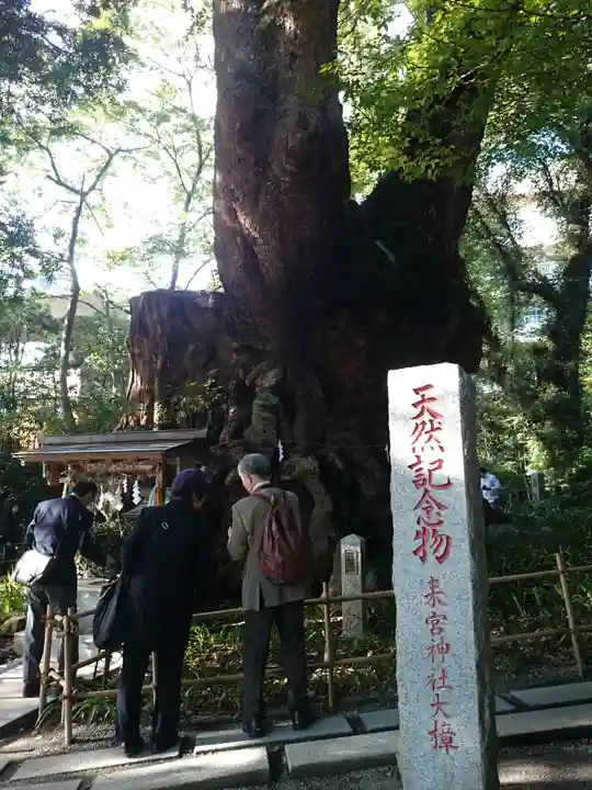 來宮神社の自然