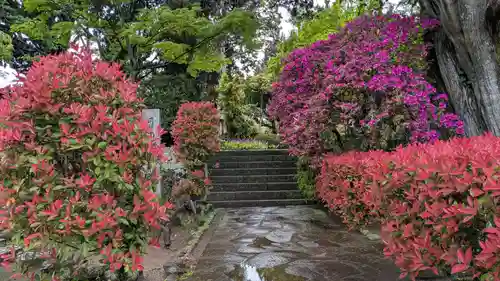 円満寺の庭園