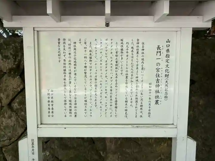 住吉神社の{uncategorized: "未分類", other: "その他", undefined: "問題あり", building: "その他建物", grave: "お墓", sacred_gate: "鳥居", guardian: "狛犬", statue: "像", buddha: "仏像", history: "歴史", nature: "自然", garden: "庭園", animal: "動物", pagoda: "塔", temizu: "手水舎", mountain_gate: "山門・神門", sanctuary: "本殿・本堂", subordinate: "末社・摂社", art: "芸術", scenery: "景色", jizo: "地蔵", ema: "絵馬", goshuin: "御朱印", omikuji: "おみくじ", items: "授与品その他", amulet: "お守り", goshuincho: "御朱印帳", eats: "食事", festival: "お祭り", votive_dance: "神楽", shichigosan: "七五三参", wedding: "結婚式", experience: "体験その他", initially: "初詣", around: "周辺", anti_infection: "感染症対策"}