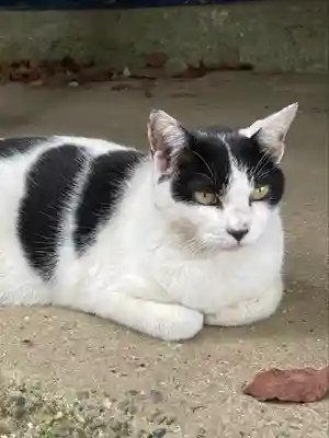 鎌数伊勢大神宮(千葉県)