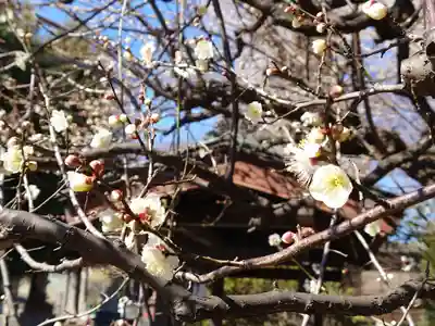 堤方神社の自然