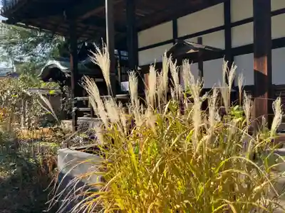 本長寺(滋賀県)