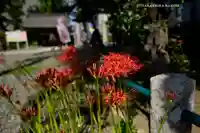 磐井神社(東京都)