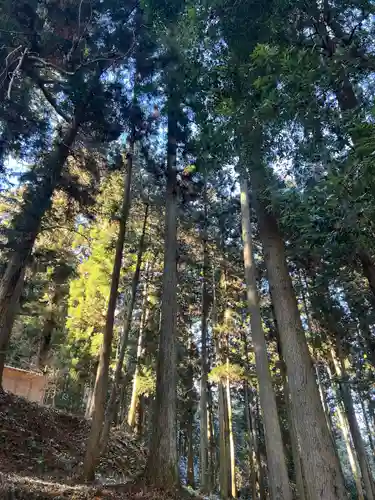 大宮温泉神社(栃木県)
