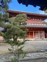 大徳寺の{uncategorized: "未分類", other: "その他", undefined: "問題あり", building: "その他建物", grave: "お墓", sacred_gate: "鳥居", guardian: "狛犬", statue: "像", buddha: "仏像", history: "歴史", nature: "自然", garden: "庭園", animal: "動物", pagoda: "塔", temizu: "手水舎", mountain_gate: "山門・神門", sanctuary: "本殿・本堂", subordinate: "末社・摂社", art: "芸術", scenery: "景色", jizo: "地蔵", ema: "絵馬", goshuin: "御朱印", omikuji: "おみくじ", items: "授与品その他", amulet: "お守り", goshuincho: "御朱印帳", eats: "食事", festival: "お祭り", votive_dance: "神楽", shichigosan: "七五三参", wedding: "結婚式", experience: "体験その他", initially: "初詣", around: "周辺", anti_infection: "感染症対策"}