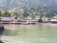 厳島神社の景色