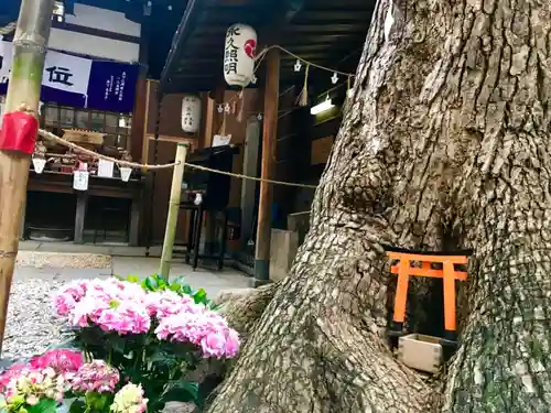 少彦名神社の自然