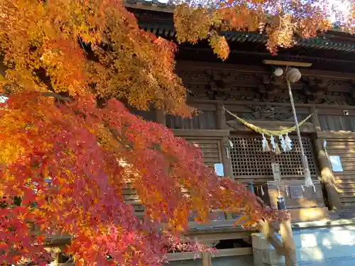 愛知県高浜市春日神社の自然