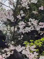 白幡八幡神社(神奈川県)