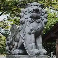 大麻神社の狛犬