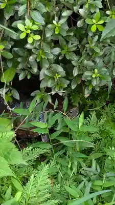 宝蔵寺(京都府)