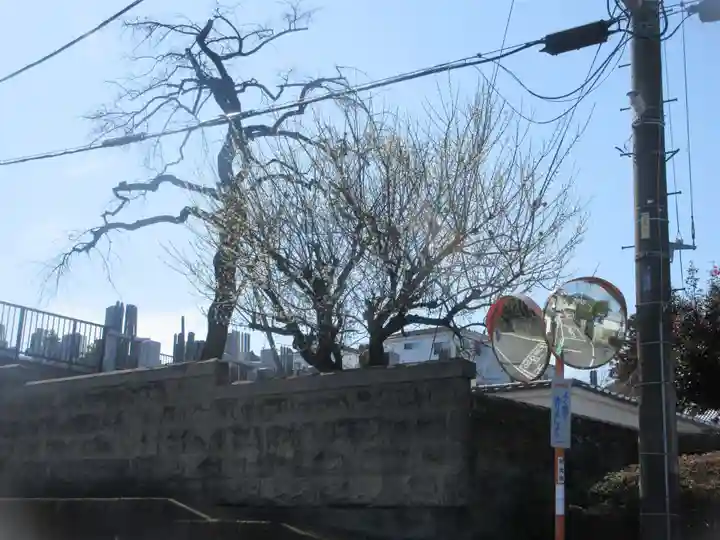 妙典寺(埼玉県)