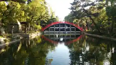 住吉大社(大阪府)