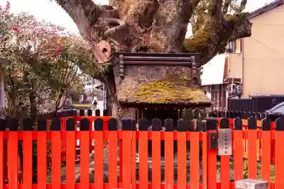 藤木社（賀茂別雷神社末社）(京都府)