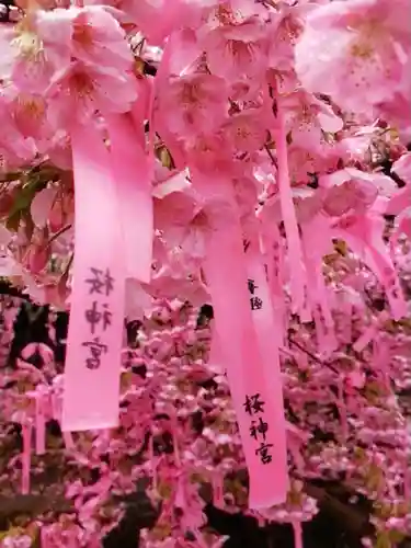 桜神宮(東京都)