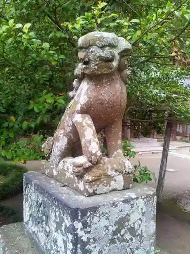 御霊神社の狛犬