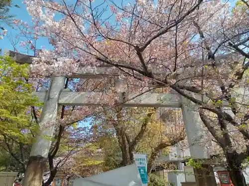 安井金比羅宮の鳥居