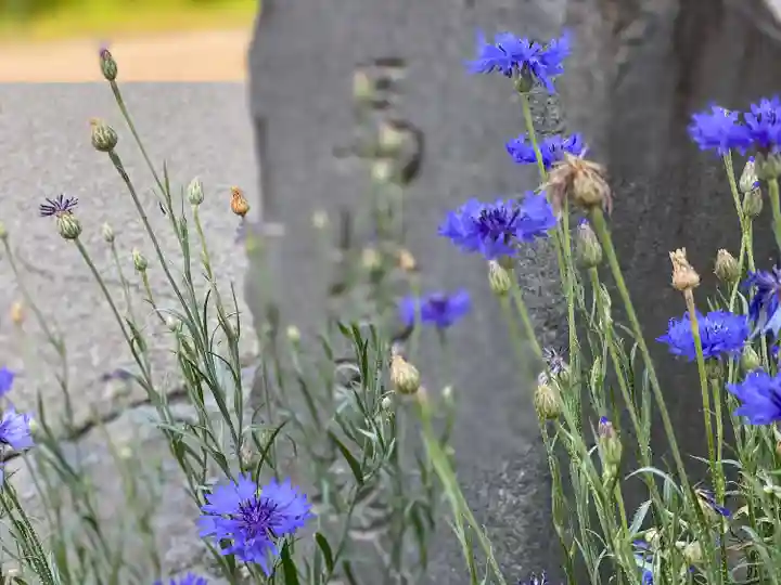 白鳥神社の自然