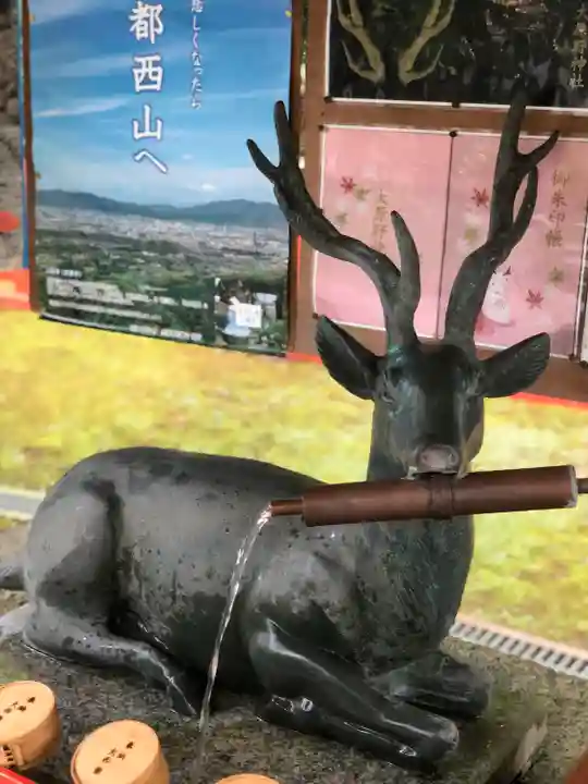 大原野神社の手水舎