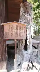 日枝神社の自然