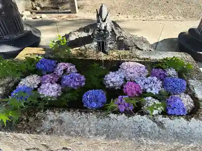 堤治神社の手水舎