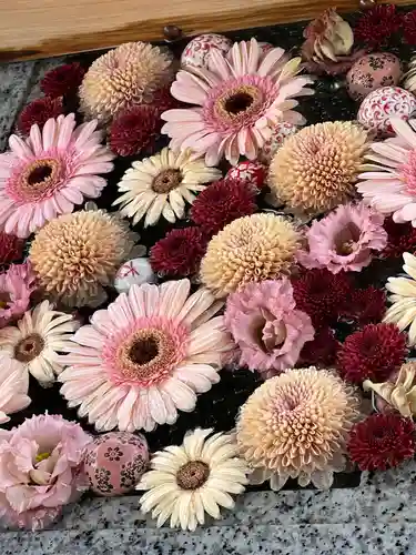 川越八幡宮(埼玉県)