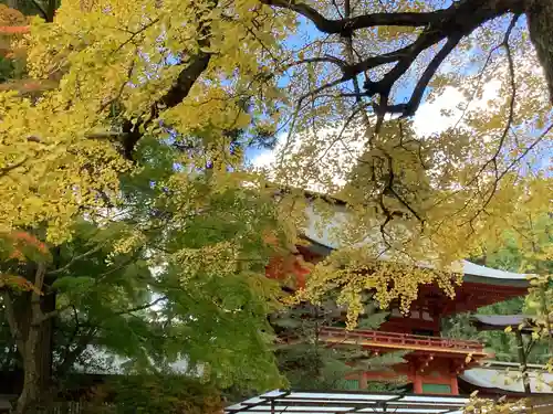 香取神宮(千葉県)