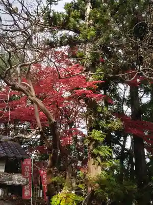 岡部春日神社～👹鬼門よけの🌺花咲く🌺やしろ～(福島県)