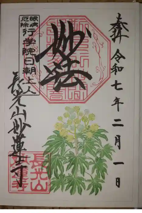 妙蓮寺の御朱印