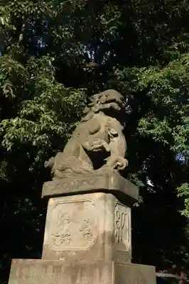 阿佐ヶ谷神明宮の狛犬
