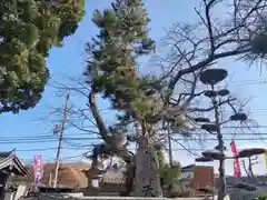 帝釈寺(大阪府)